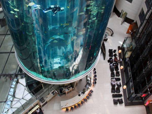 Un acuario gigante estalló este viernes en el patio de un prestigioso hotel de Berlín, desatando un ‘tsunami’ de agua que arrasó el vestíbulo, dejó dos heridos y provocó la muerte de cerca de 1,500 peces tropicales. Aquí las fotografías de la tragedia y lo que se sabe al respecto.