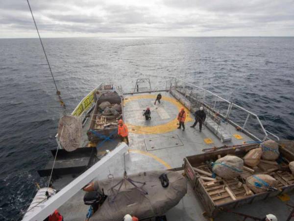 Un video de un barco lanzando enormes piedras al mar se ha vuelto viral en las redes sociales, donde mucho se preguntan quiénes son y por qué lo hacen. Se trata de una acción de Greenpeace que tiene un gran objetivo. A continuación te contamos de qué trata.