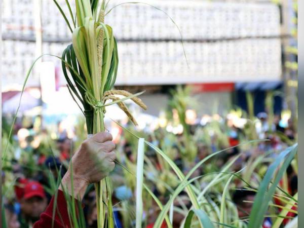 ¿Por qué se llama así?, ¿qué representa?, ¿por qué se celebra? A continuación te contamos los detalles sobre la celebración que conmemora el inicio de la Semana Santa en el mundo.