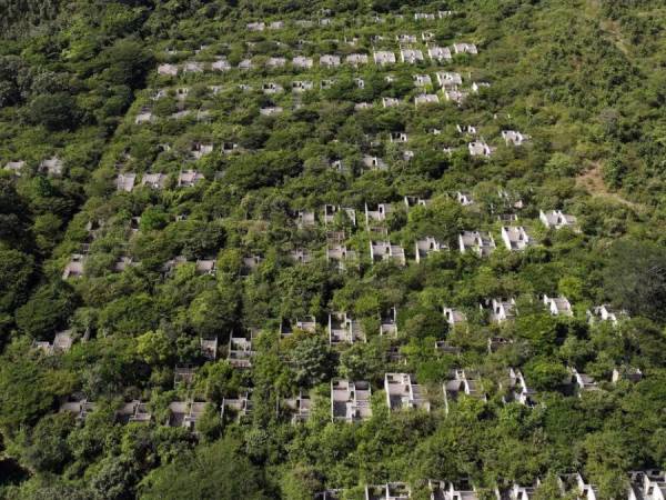 El Heraldo ingresó a la casi fantasmal Ciudad Mateo para comprobar el estado de las viviendas y constató que en su mayoría han sido saqueadas o cubiertas por la vegetación