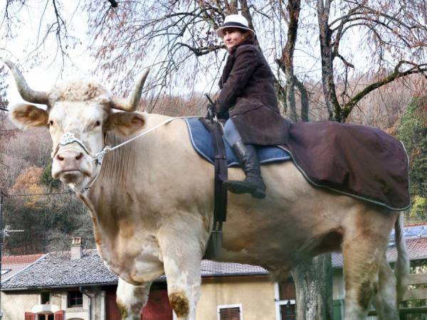 Al pie de los viñedos de un pueblo del este de Francia, Sabine Rouas sale en la mañana sobre el lomo de Aston, un toro de 1,4 toneladas que pasea apaciblemente. Conoce más de este animal que tiene encantados a todos.