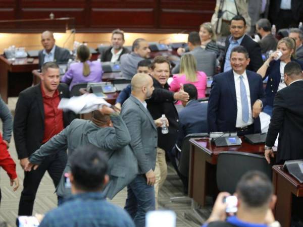 Momentos antes de iniciar la tercera sesión para elegir a los nuevos magistrados de la Corte Suprema de Justicia, los honorables diputados del Congreso Nacional casi se van a los golpes por una camisa. A continuación le contamos los detalles.