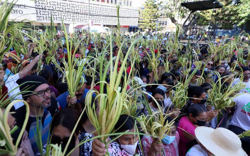 Datos que seguramente no conocías del Domingo de Ramos