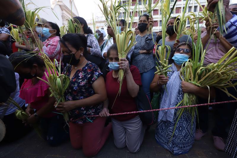 Datos que seguramente no conocías del Domingo de Ramos