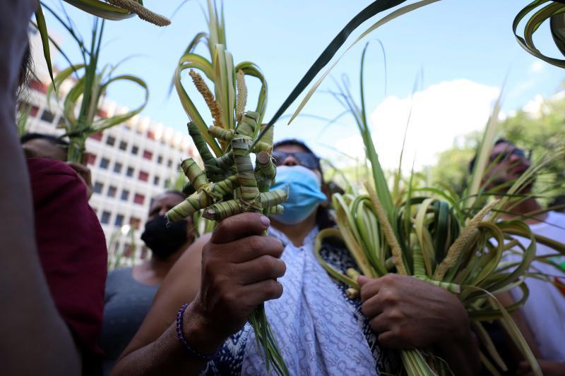 Datos que seguramente no conocías del Domingo de Ramos