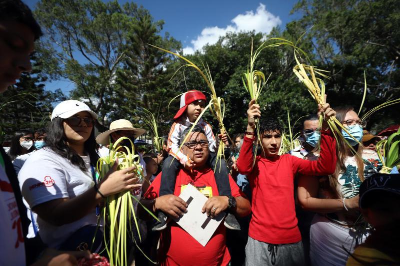 Datos que seguramente no conocías del Domingo de Ramos