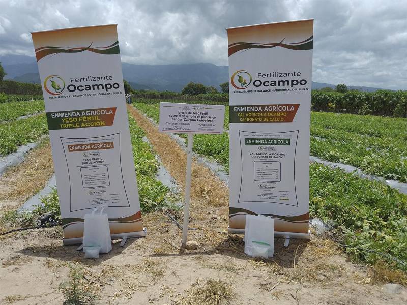 <i>La aplicación de biofertilizantes orgánicos en cultivos busca sustituir productos químicos, promoviendo una agricultura más amigable con el medio ambiente.</i>