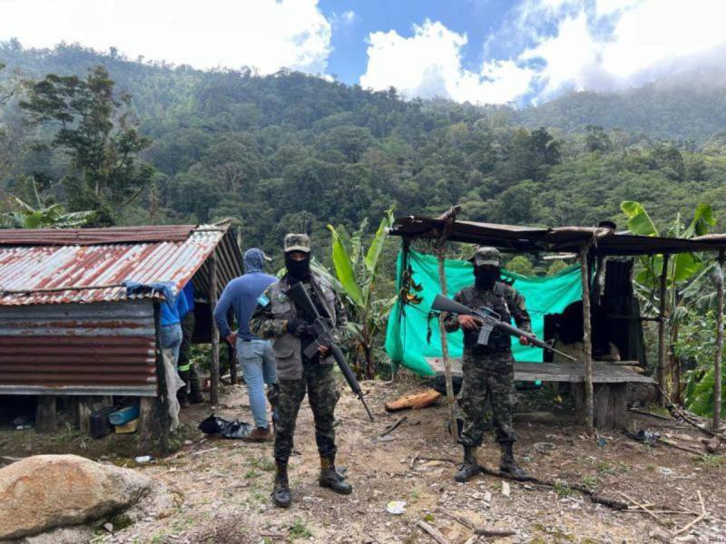 El Parque Nacional Pico Bonito fue intervenido por las fuerzas de seguridad. Los asentamientos humanos son el principal problema.