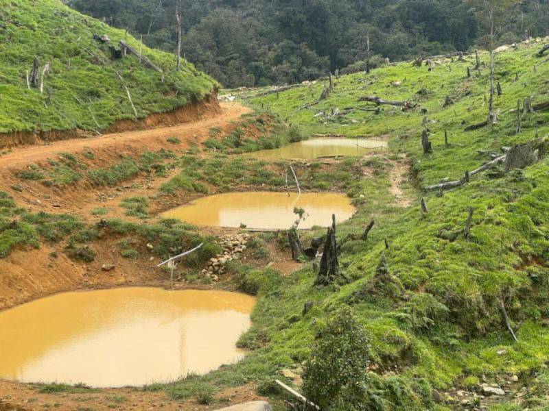 En la zona núcleo del parque también hallaron tres reservorios de agua, porquerizas, potreros y hasta viveros para café.