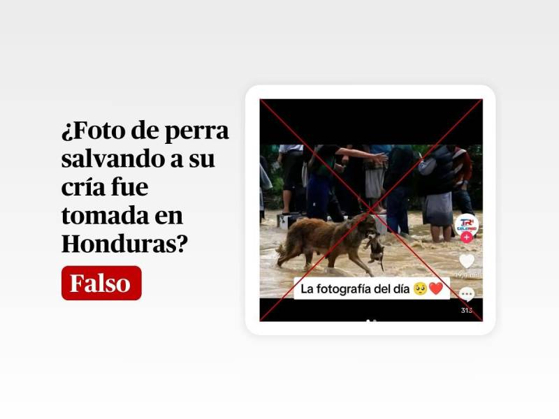 Captura de pantalla a una publicación de TikTok hecha el 18 de noviembre de 2024, adaptada a esta cartela.