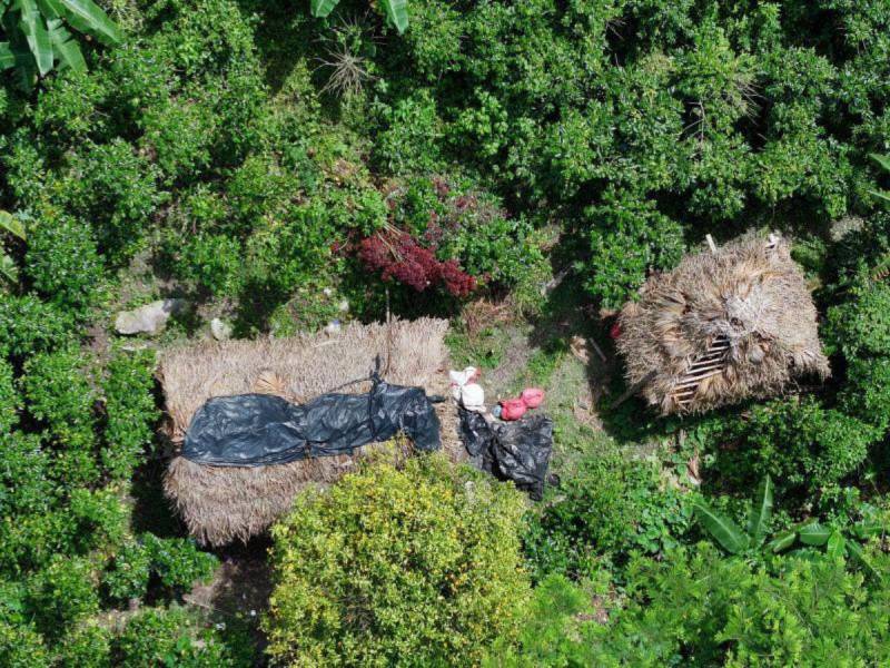 Casas, potreros y una carretera ilegal hallaron en el Parque Nacional Pico Bonito