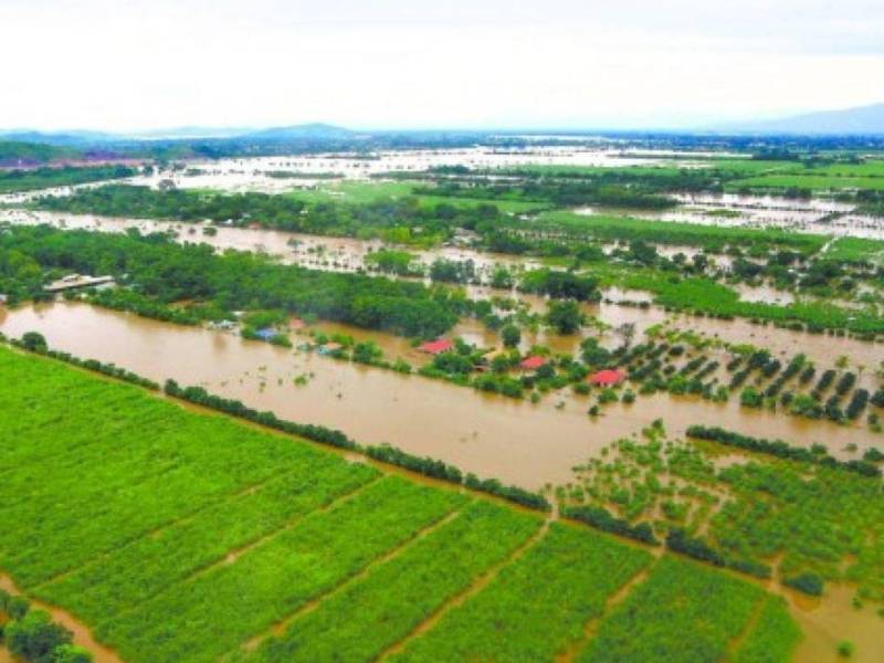 Bajo agua y entre lodo cultivos y viviendas en el Valle de Sula por las tormentas Eta y Iota en 2020.