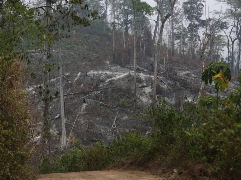 Las afectaciones en estas áreas de La Mosquitia es para aduerñarse de tierrras y poder habitarlas, según expertos.