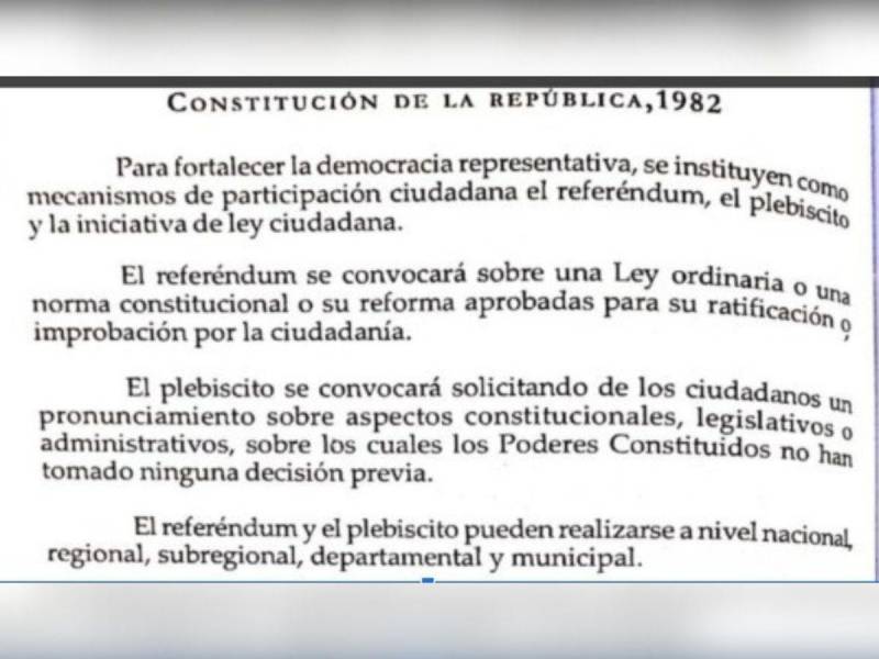 Constitución y otras leyes restringen consultas populares para ciertos temas, pese a lo que afirma Redondo