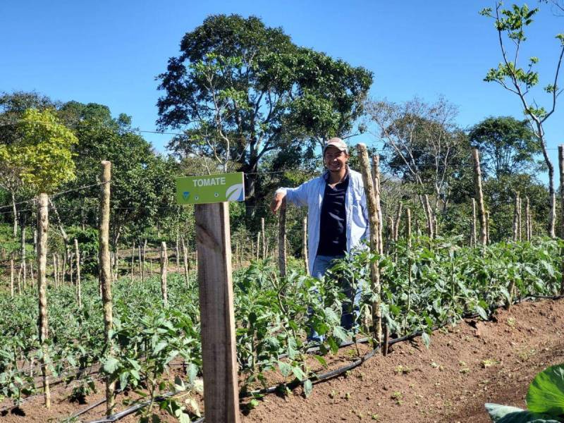 Nelson Daniel Henríquez transformó su finca en un modelo de resiliencia al adoptar prácticas sostenibles como la conservación del suelo, el uso de sombra, y la reforestación.