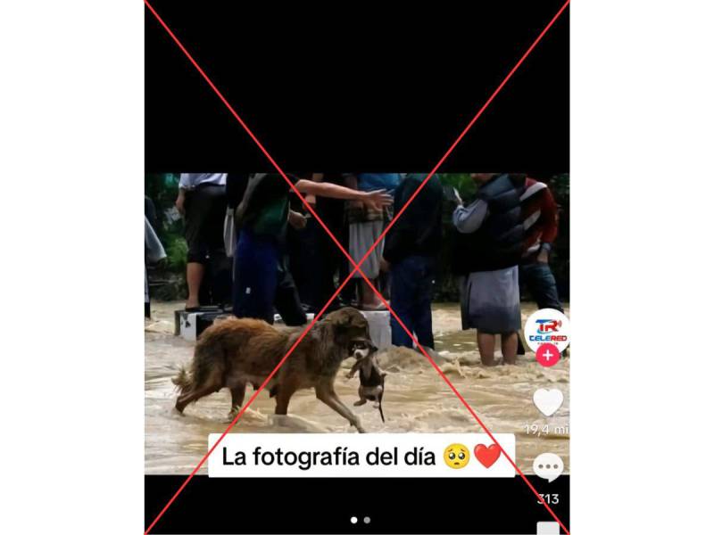 Captura de pantalla a una publicación de TikTok hecha el 18 de noviembre de 2024.