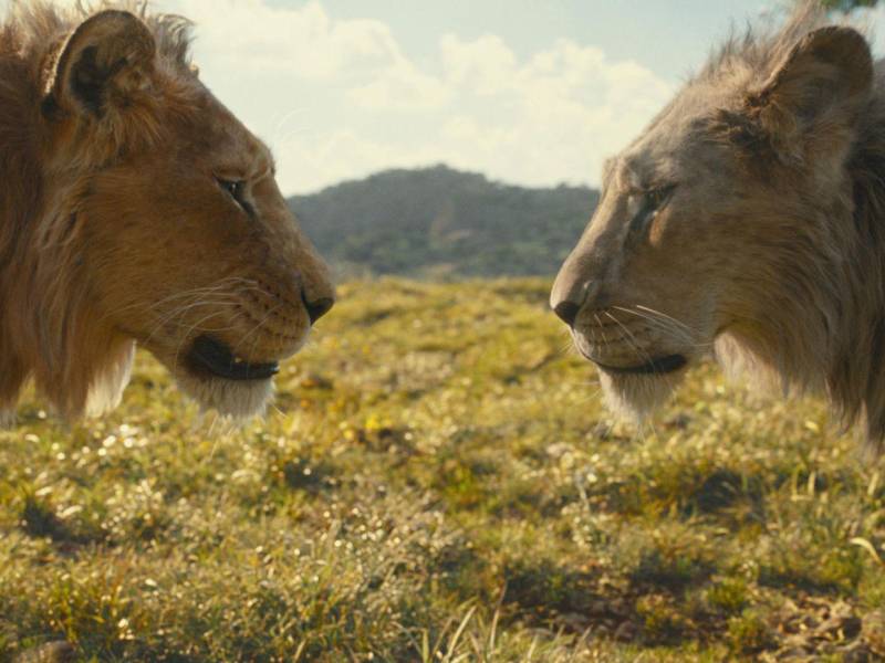 El estreno más esperado de esta semana ha sido, sin duda, “Mufasa: el rey león”, que cuenta el origen de Scar como uno de los villanos más odiados de Disney.