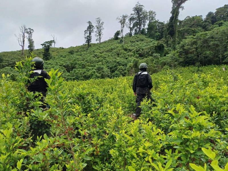 Honduras debe demostrar que tiene interés en combatir el delito del narcotráfico para recibir apoyo de Estados Unidos.