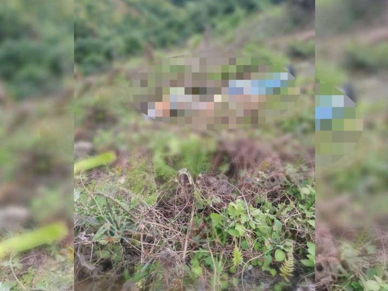 Los cuerpos fueron encontrados sin cabeza en una zona llena de maleza.