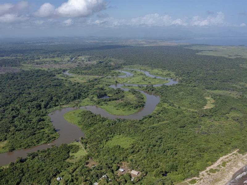 Por casi 3 millones de lempiras venden pedazos de la Biósfera del Río Plátano