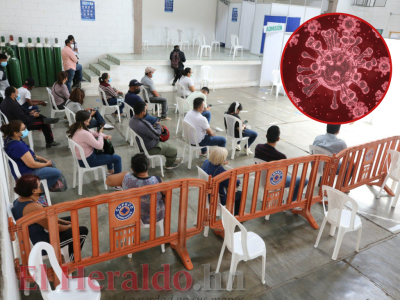 The new variant of covid-19 that worries health authorities in Honduras