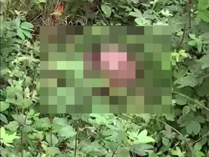 Encuentran el cadáver de un joven en Manto, Olancho; habría sido desmembrado