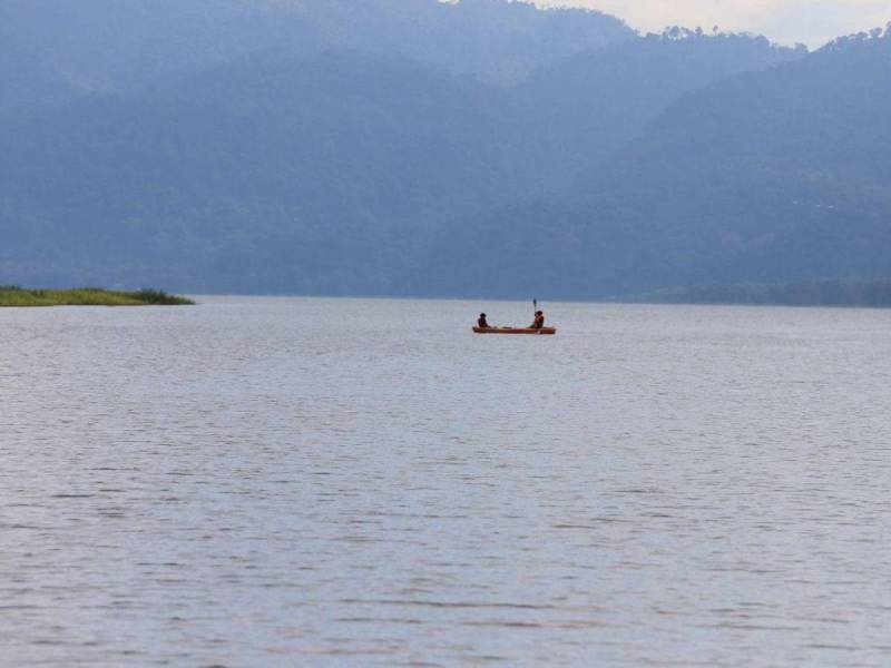 Día de las Áreas Protegidas en Latinoamérica, fecha para concientizar