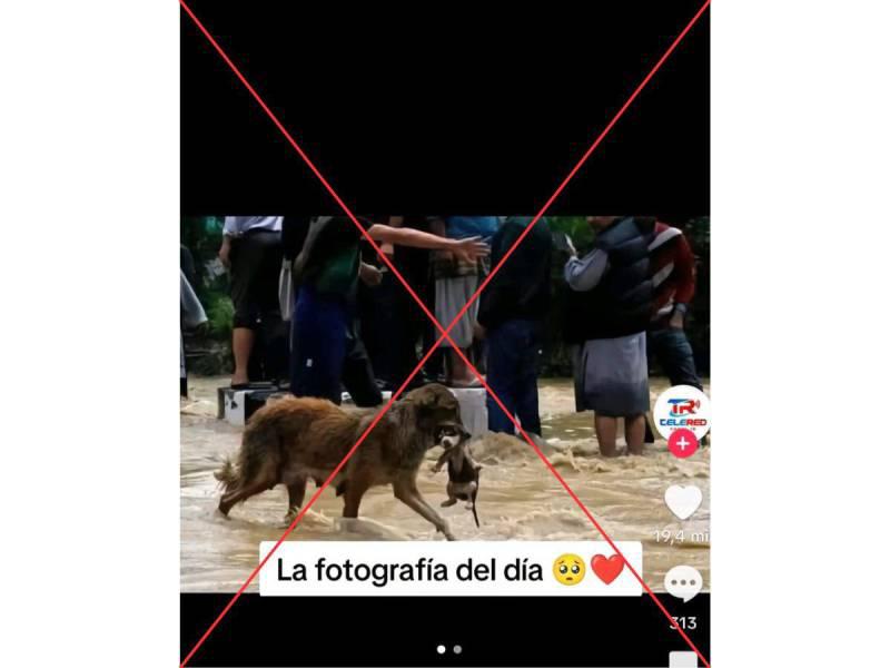 Captura de pantalla realizada a una publicación de TikTok.