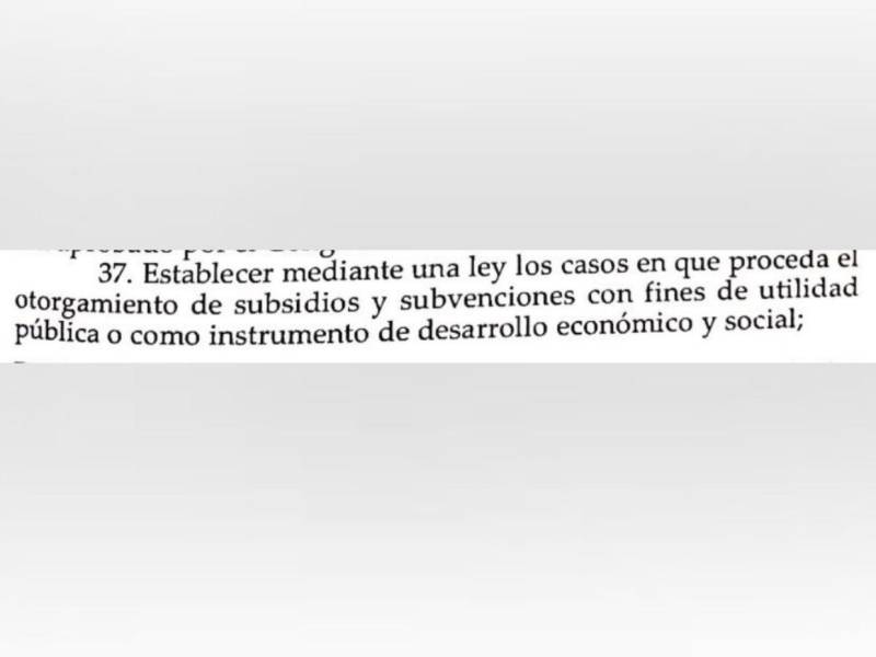 Constitución no faculta al presidente del Congreso Nacional para otorgar subsidios, pese a lo que dice Luis Redondo