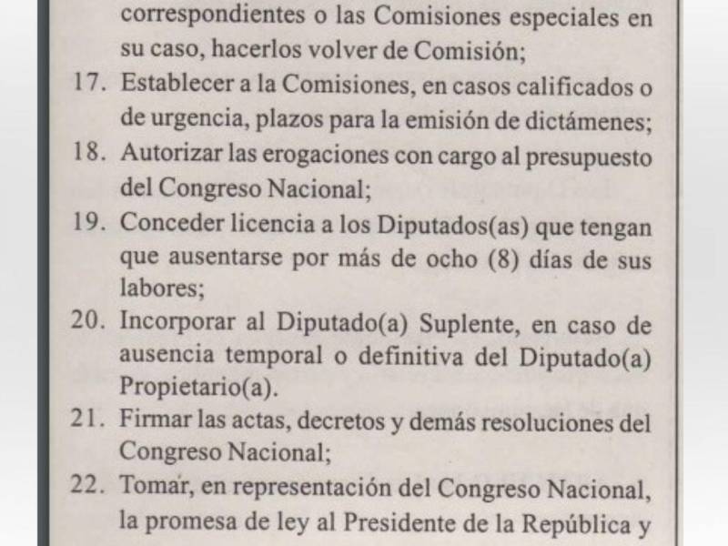 Constitución no faculta al presidente del Congreso Nacional para otorgar subsidios, pese a lo que dice Luis Redondo