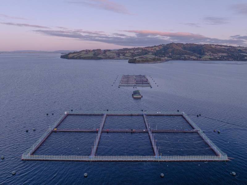 Una granja de salmón en Rilán, Chile. Bajo el agua hay jaulas de red de alta densidad que pueden encerrar miles de peces.