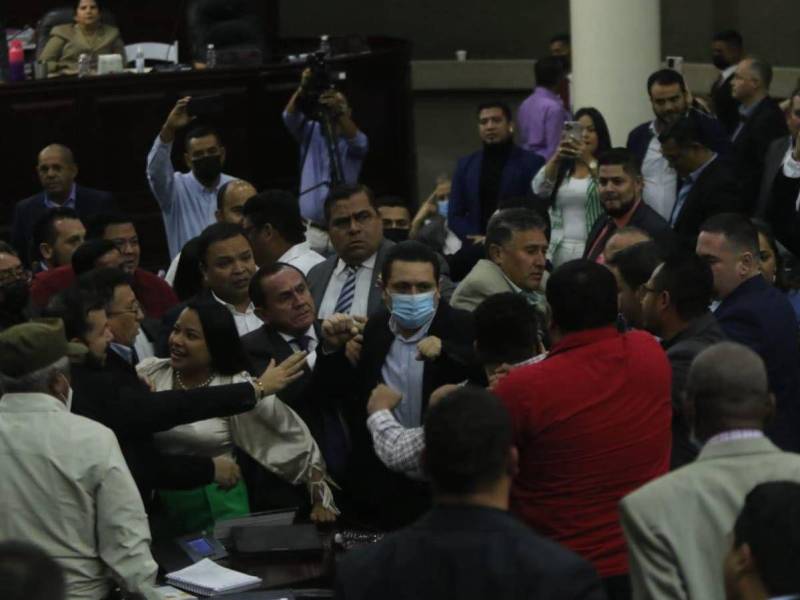 Desde el inicio del este gobierno, el caos reina en el Congreso Nacional donde la fuerza intenta primar sobre la razón.