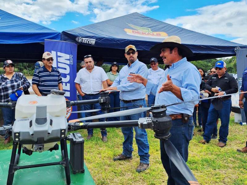 Agroindustrias del Corral: Transformando la Producción Ganadera en Honduras