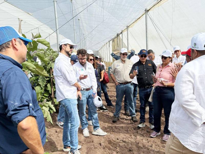 USAID, a través de Agronegocios Sostenibles, cierra un año de éxitos