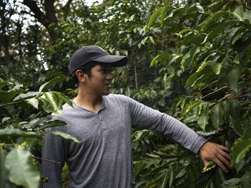 Carlos Amaya ha enfocado sus estudios en mejorar la calidad del café, con el objetivo de aplicar ese conocimiento en la finca familiar y proyectar su café.