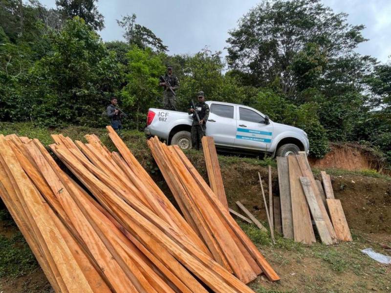 ICF decomisa cuartones de madera ilegal en operativo forestal en Texiguat