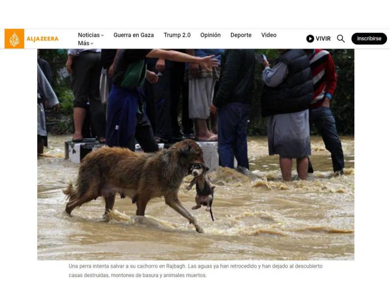 Captura de la nota publicada en septiembre de 2014.