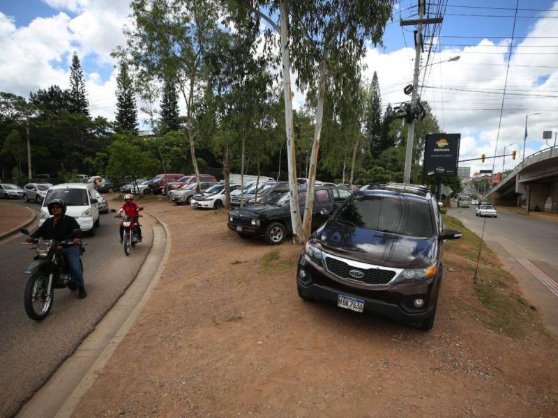 La causa principal de la pérdida de áreas verdes en el Distrito Central son los parqueos vehiculares por la falta de espacios para este fin.