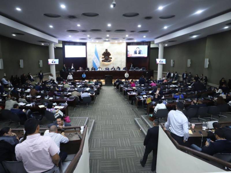 El Congreso Nacional se reunió este martes para aprobar el presupuesto de la Unidad de Política Limpia.