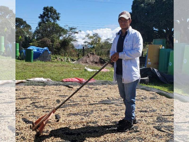 Cómo resultado de la alianza entre COMILL y Agronegocios Sostenibles de USAID, Nelson Daniel Henríquez ha sido capacitado en prácticas agrícolas sostenibles, técnicas de cosecha, procesamiento de café, manejo de calidad, técnicas de secado y tostado de café.