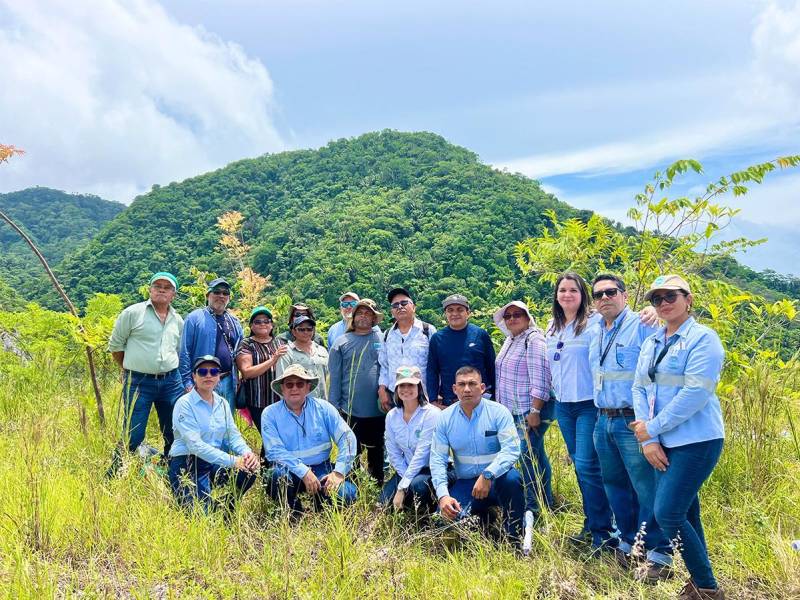 Más de 4,000 plantas han sido sembradas, restaurando 8 frentes degradados en nuestras canteras.