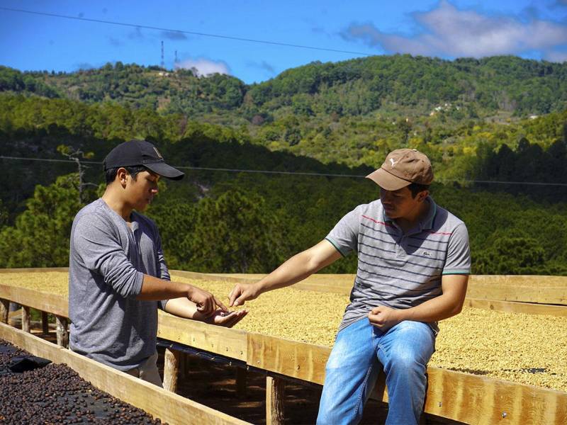 Juan José y Carlos Amaya representan la cuarta generación de caficultores en su familia.