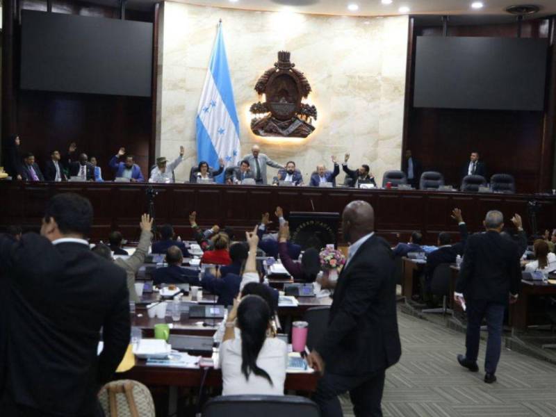 Desde sociedad civil piden a los congresistas enforcar el presupuesto en temas prioritarios, como salud y educación.