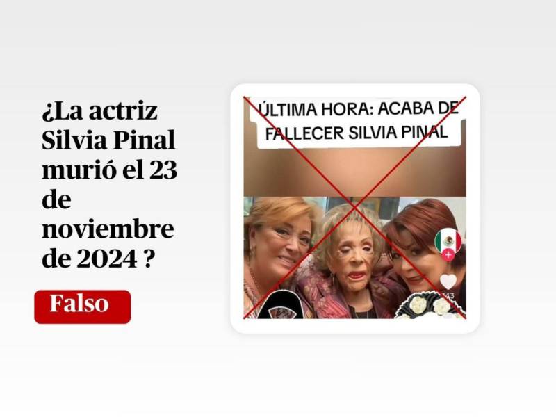 Captura de pantalla a una publicación en TikTok el 23 de noviembre de 2024.