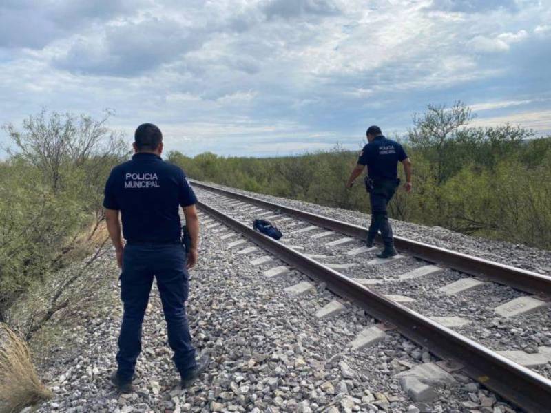 Hondureño pierde la vida tras caer del tren “La Bestia” en Hidalgo, México