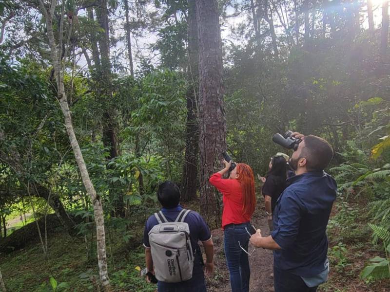 Desde recorridos históricos hasta experiencias gastronómicas, Ruta Entre Pueblos ofrece una travesía que resalta la esencia del occidente hondureño.