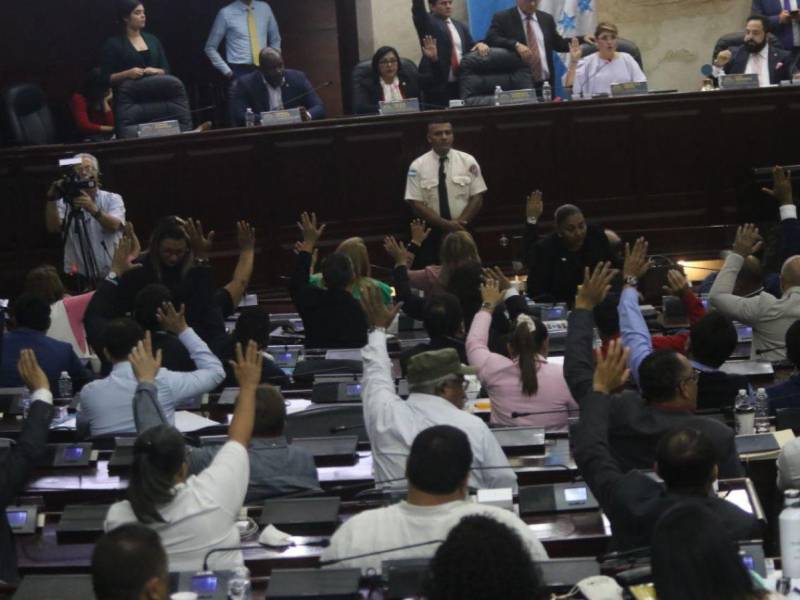 Congreso Nacional aprueba amnistía energética, vehicular y municipal