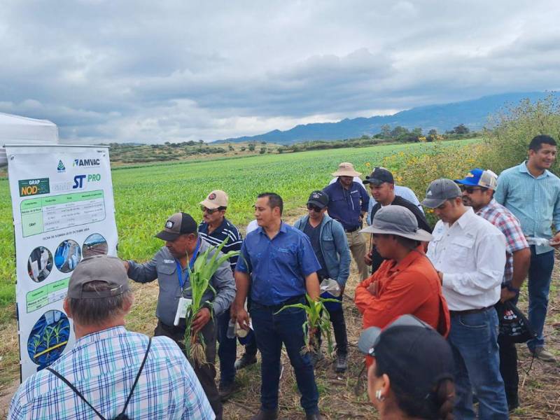 Agroindustrias del Corral: Transformando la Producción Ganadera en Honduras