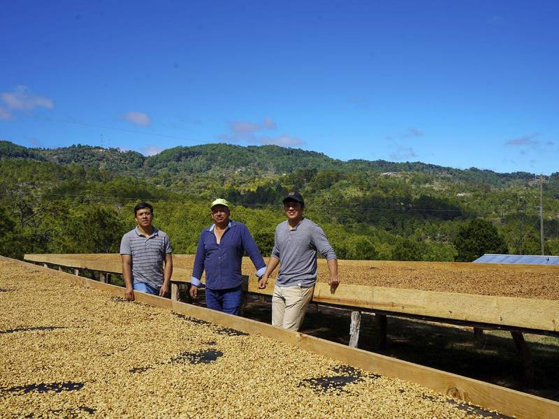 Juan Carlos Amaya junto a sus hijos se dedican a la producción de cafés de alta calidad en el municipio de Santa Ana, La Paz.