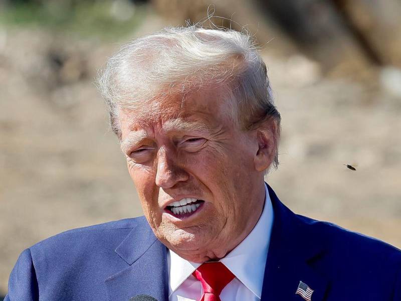 Trump llama a los afectados por el huracán Helene a salir a votar